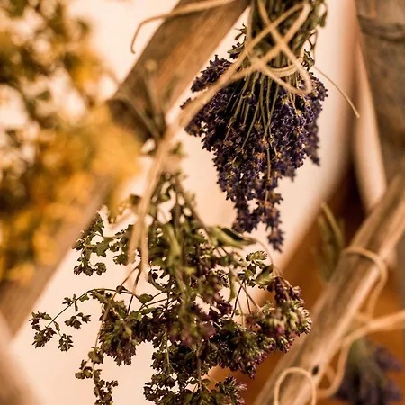 Forster's Naturresort 4* Neustift im Stubaital