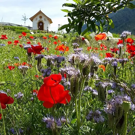 Forster's Naturresort 4* Neustift im Stubaital