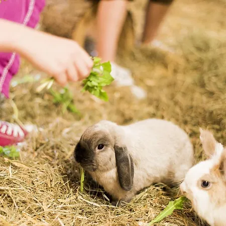 Отель Forster's Naturresort