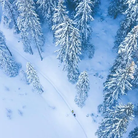 Forster's Naturresort Готель 4*