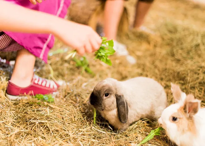 Forster's Naturresort